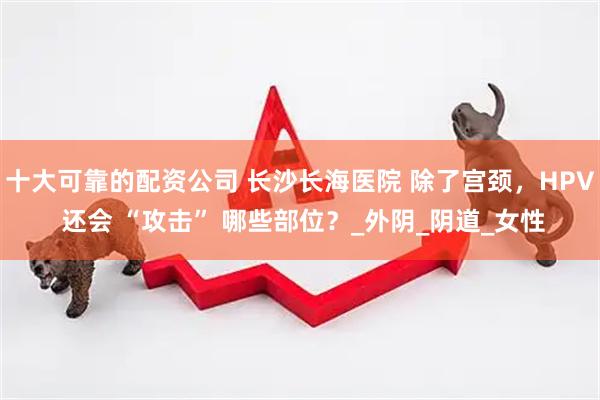 十大可靠的配资公司 长沙长海医院 除了宫颈，HPV 还会 “攻击” 哪些部位？_外阴_阴道_女性