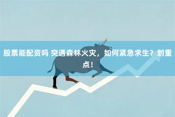 股票能配资吗 突遇森林火灾，如何紧急求生？划重点！