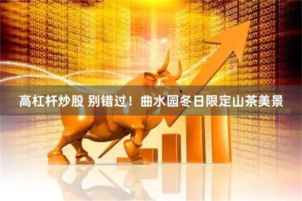 高杠杆炒股 别错过！曲水园冬日限定山茶美景